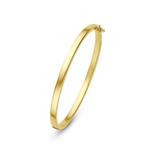 bangle scharnier vlakke buis 4 x 60 mm