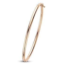 bangle scharnier ronde buis 3 x 60 mm