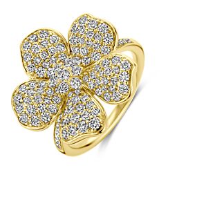 Ring Evy