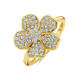Ring Valora