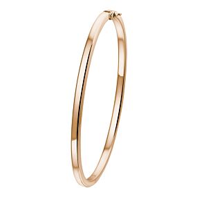 bangle scharnier vlakke buis 3 x 61 mm